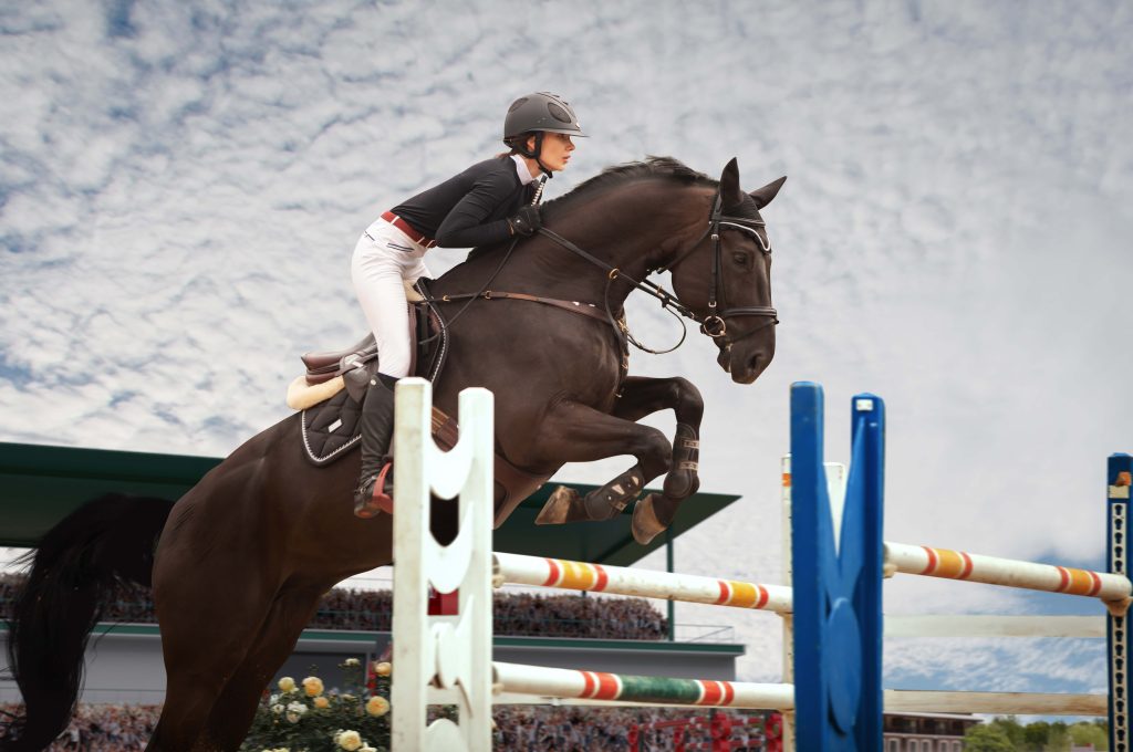 Équitation près de Ceyreste